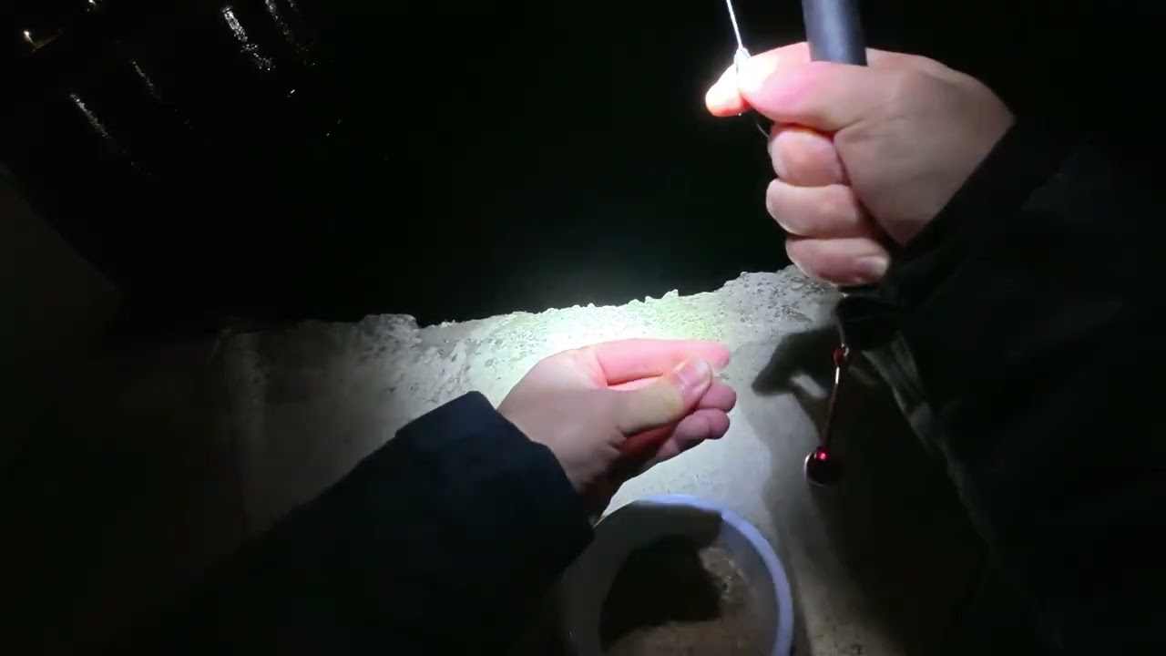 혹한의 붕어 밤낚시! 낚싯대도 얼고 입질도 얼고 나도 얼었다 ㅠ