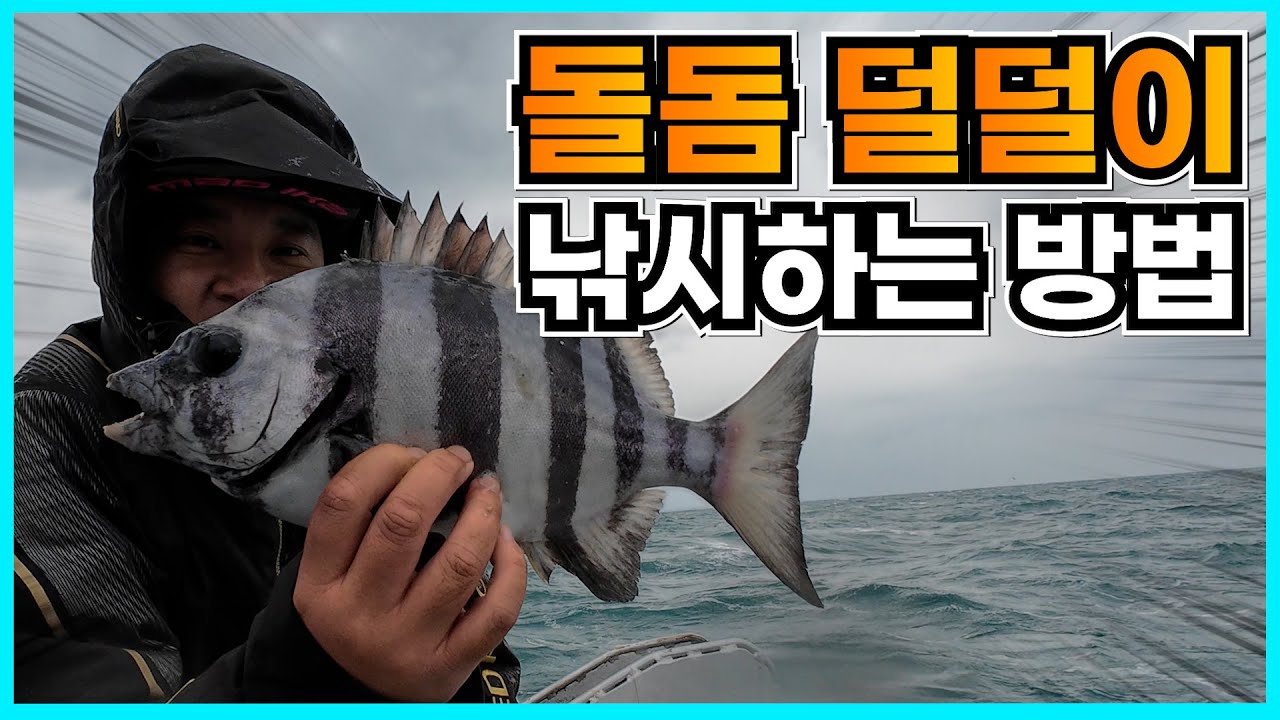 초보자를 위한 돌돔 덜덜이 낚시하는 방법 (feat. 장비, 채비, 미끼)