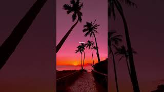 Gym Cl Heroes - Stereo Hearts Lyrics Edit Aesthetic