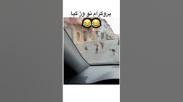 Wait for the end 😂😂 #funny #surajroxfunnyvibeo #realfools #comedy #memes #shorts