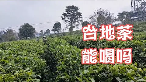 观万亩茶园，台地农残究竟会不会超标？真的不安全吗？ - 天天要闻