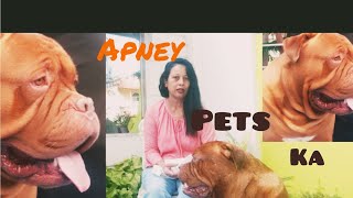 Apney pets ka is tarah khayaal rakhiye🙏 by Anupma Pandey 235 views 2 years ago 4 minutes, 13 seconds