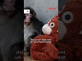 Punch: Wenn Emotionen blind machen | ARTE #zoom