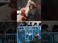 Punch: Wenn Emotionen blind machen | ARTE #zoom
