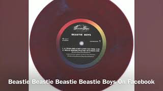 Beastie Boys-A Year And A Day ( 5/22/1992 )