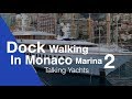 Dock Walking in Monaco talking yachts again...