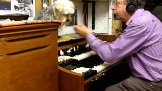 Miniatura de vídeo de "ROUTE 66 (BENNY`S BOOGIE- HAMMOND A100 played by BRYAN OF NOTE"