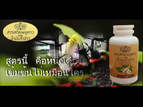 พลูตอง สารสกัดจากคาวตองผสมน้ำมันรำข้าวสกัดเย็น ชนิดซอฟเจลเข้มข้น