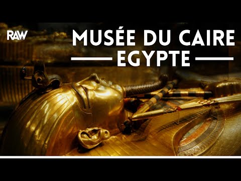 Vidéo: Des Sarcophages Incroyables Ont été Découverts En Egypte - Vue Alternative