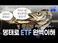 노가리 까다가 반도체 썰 푸는 도형이 형;; 코다리만큼 다양한 반도체 ETF!? | 생각하는 도형 EP.3