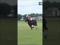 🐴 𝐓𝐄𝐑𝐂𝐀 #𝘔𝘢𝘳𝘦𝘊𝘳𝘶𝘴𝘩𝘔𝘰𝘯𝘥𝘢𝘺