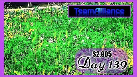 ➡️ $2,905 Made in 139 DAYS with NADEX Binary Options | #TeamAlliance