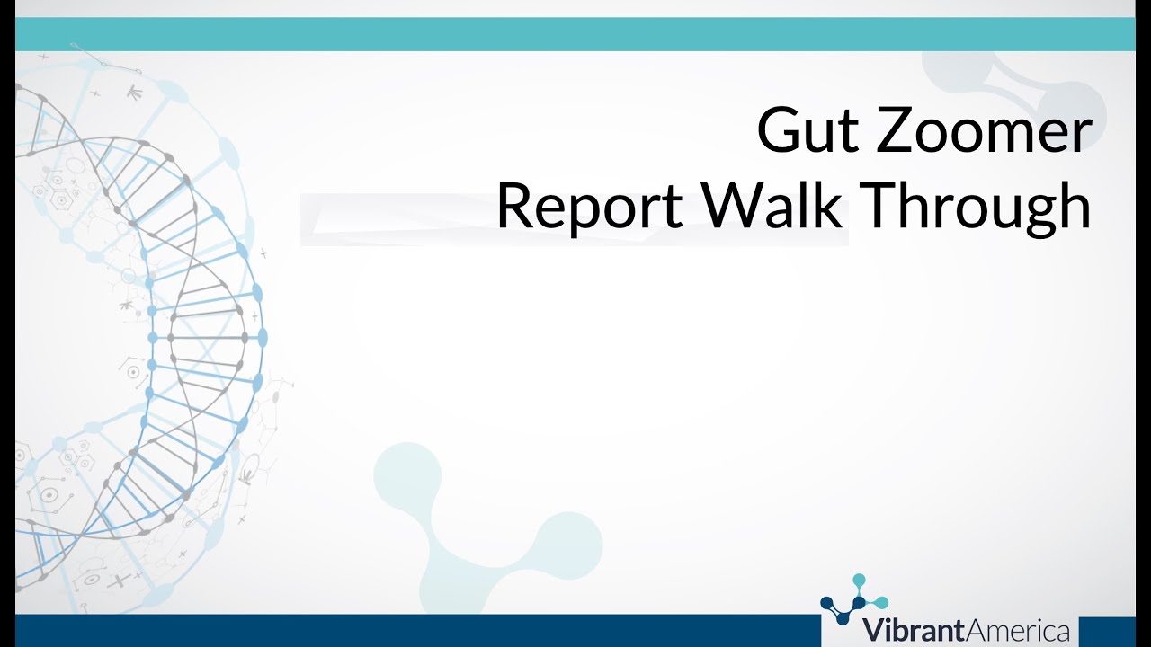 Vibrant Gut Zoomer Report Walk Through YouTube