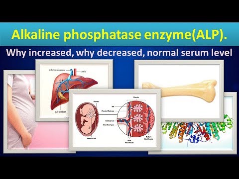 Video: Alkali Fosfatase Dalam Darah Tinggi / Rendah - Apa Yang Harus Dilakukan?
