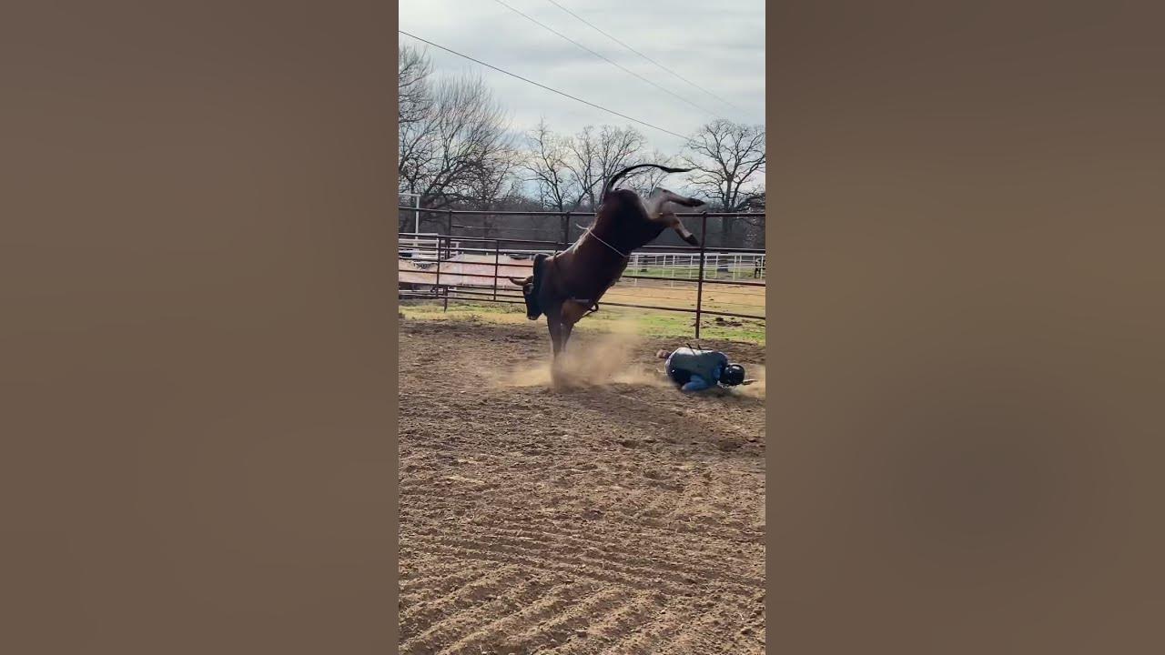 Dirt on my boots? 🤕 #bullriding #bull #rodeo
