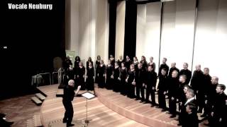 Cantate Domino  (J Elberdin) gesungen von Vocale Neuburg