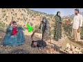 🌿 Real Nomadic Life | Shahla and Mina’s Efforts and a Painful Accident for Kourosh