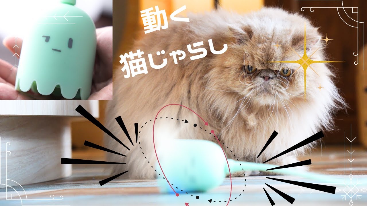Will Your Cat Go Crazy for This Hands-Free Toy? Testing a