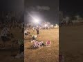 31 de enero de 2026