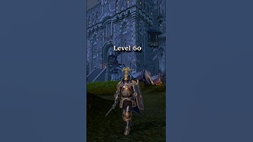 Warhammer Online Human Level 1 to 80 Empire Knight of the Blazing Sun 2024 #mmo #warhammer #mmorpg