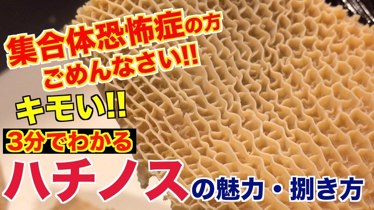 集合体恐怖症 グロいけど美味い ハチノスの捌き方 Youtube