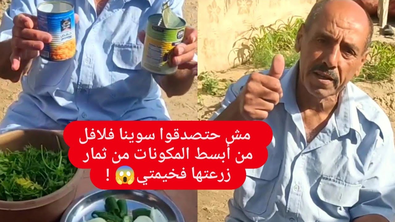 أستحلفكم بالله ما تتجاهلوني تعالواا شوفوا فلافل من زرع خيمتي من أبسط المكونات من قلب الحصار 😱🙊🙅