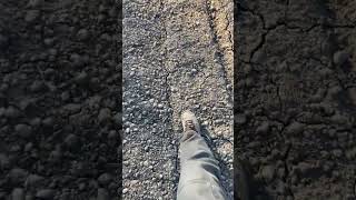 El Mejor Momento Para Poner Estiércol En Un Suelo Labrado