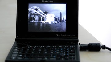 Sea otters on the Ben Nanonote