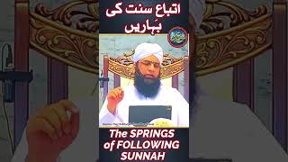 The SPRINGS of FOLLOWING SUNNAH - Itaba e Sunnat Ki Baharyin