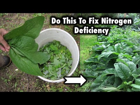 7 Ways To Fix Nitrogen Deficiency In Your