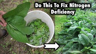 The 20+ How To Fix Nitrogen Deficiency In Plants 2022: Full Guide