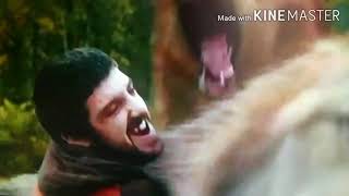 Twilight wolves-Hero (Skillett)