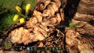 Risen 3: Titan Lords - Monkey Bug (1080p)