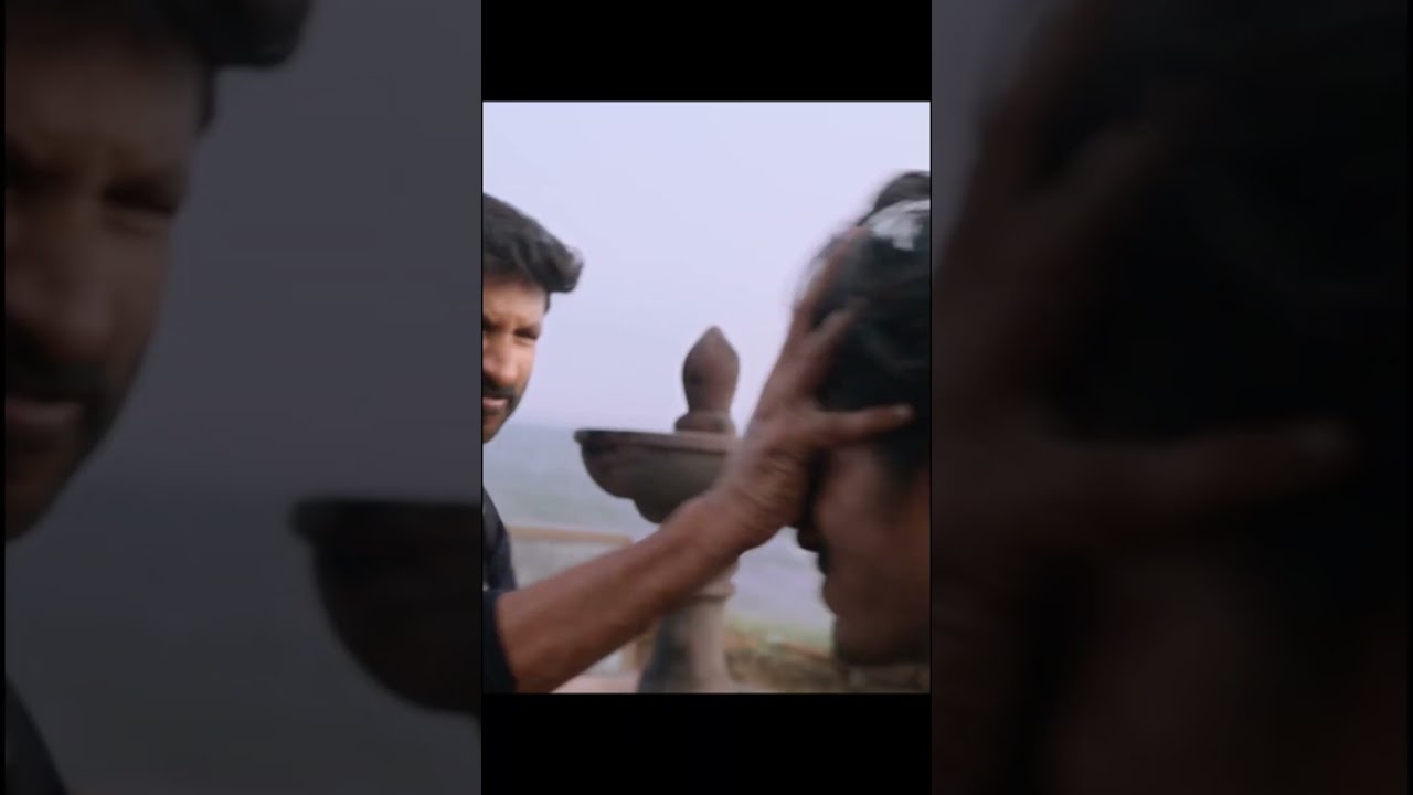 Gopichand Mass Action | Viswam Teaser |Gopichand |Kavya Thaper |Sreenu Vaitla