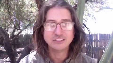 Introduced megafauna are rewilding the Anthropocene