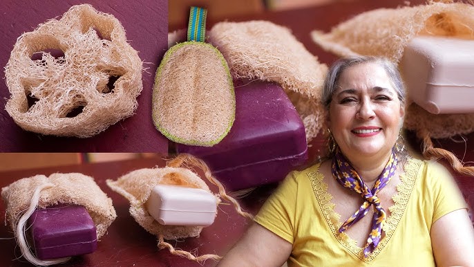 Como Hacer Una Esponja Natural O Vegetal Con Luffa, Experimentos