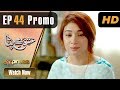 Watch Pakistani Drama | Ishq Bepanah - Episode 44 Promo | Express TV Dramas | Shameen Khan, Azeeka Daniel Online In HD