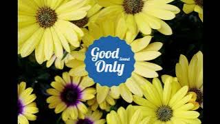 Lou Bega - Mambo No. 5 (Acapella)