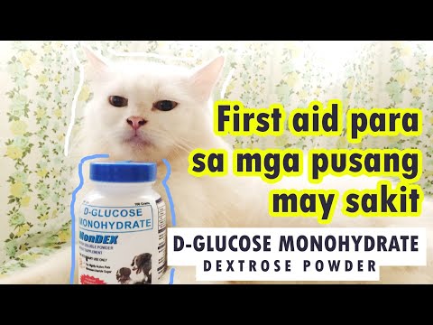 Video: Paano Ginagamot Ang Mycoplasmosis Sa Mga Pusa?