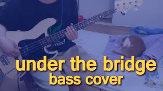 Under the bridge bass cover (w.tabs \& download link)