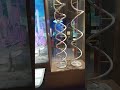 DNA and RNA model. DNA model. RNA model. #trendingshorts #science model #sciencefroject #viral