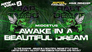 DJ AWAKE IN A BEAUTIFUL DREAM STYLE EDITION | MIDCETUS BY KIMS REMIXER FEAT APID PROJECT