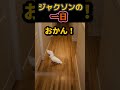 言葉の分かる子。