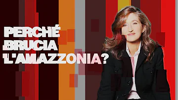 Perché brucia la foresta amazzonica?