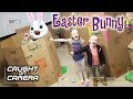 Easter Bunny Caught on Camera in Real Life! We Caught the Easter Bunny in Homemade Trap! It Worked!