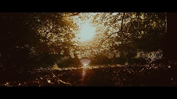 Pronoya - Your Worship Cannot Be Undone (Official Music Video)