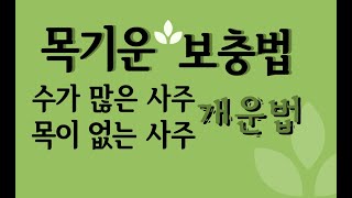 목기운 보충법(수가많은사주/목이없는사주)사주에 목이 없으면?