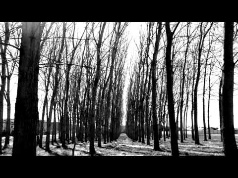Raphael Lo - Believe, because it's happening
