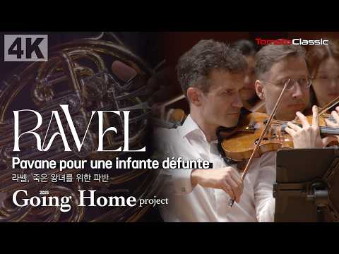[4K] M. Ravel, Pavane pour une infante défunte | 고잉홈프로젝트, play-direct 스베틀린 루세브 | 라벨, 죽은 왕녀를 위한 파반