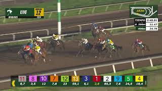 Vidéo de la course PMU PRIX CHICO DEL CARRERTE